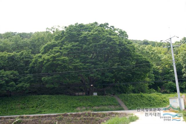 대표시청각 이미지