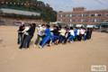 고령중학교 가을운동회 썸네일 이미지