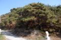 용소리 동제나무 썸네일 이미지