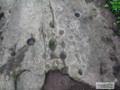 안화리 바위구멍 유적 세부 썸네일 이미지