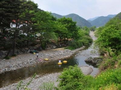 팔송천 썸네일 이미지