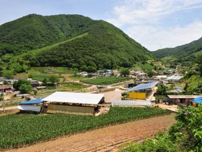 포전리[금성면] 썸네일 이미지