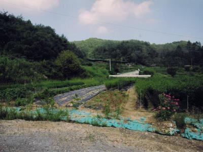 공전사지 전경 썸네일 이미지