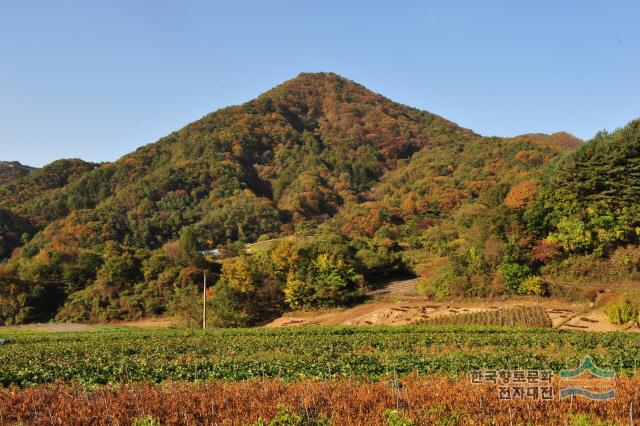 대표시청각 이미지