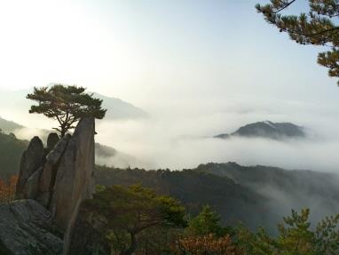 동산 썸네일 이미지